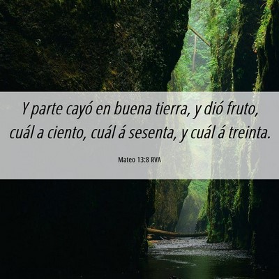 Picture 06 - Mateo 13:8 RVA - Y parte cayó en buena tierra, y dió fruto, - Bible Verse Picture