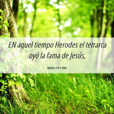 Picture 06 - Mateo 14:1 RVA - EN aquel tiempo Herodes el tetrarca oyó la fama - Bible Verse Picture