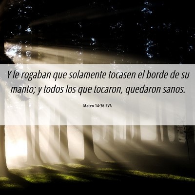 Picture 06 - Mateo 14:36 RVA - Y le rogaban que solamente tocasen el borde de su - Bible Verse Picture