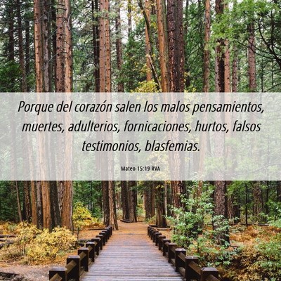 Picture 06 - Mateo 15:19 RVA - Porque del corazón salen los malos pensamientos, - Bible Verse Picture