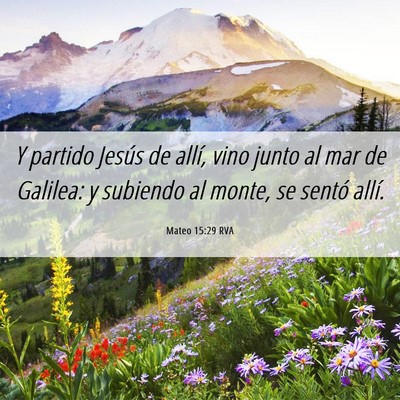 Picture 06 - Mateo 15:29 RVA - Y partido Jesús de allí, vino junto al mar de - Bible Verse Picture