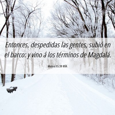Picture 06 - Mateo 15:39 RVA - Entonces, despedidas las gentes, subió en el - Bible Verse Picture
