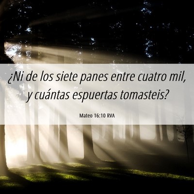 Picture 06 - Mateo 16:10 RVA - ¿Ni de los siete panes entre cuatro mil, y - Bible Verse Picture