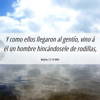 Picture 06 - Mateo 17:14 RVA - Y como ellos llegaron al gentío, vino á él un - Bible Verse Picture
