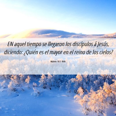 Picture 06 - Mateo 18:1 RVA - EN aquel tiempo se llegaron los discípulos á - Bible Verse Picture