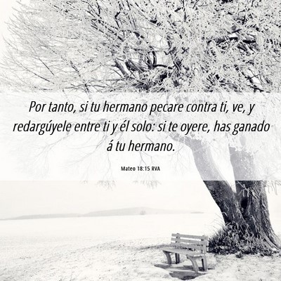 Picture 06 - Mateo 18:15 RVA - Por tanto, si tu hermano pecare contra ti, ve, y - Bible Verse Picture