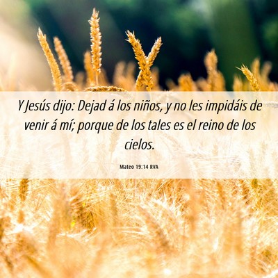 Picture 06 - Mateo 19:14 RVA - Y Jesús dijo: Dejad á los niños, y no les - Bible Verse Picture