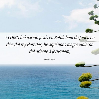 Picture 06 - Mateo 2:1 RVA - Y COMO fué nacido Jesús en Bethlehem de Judea - Bible Verse Picture