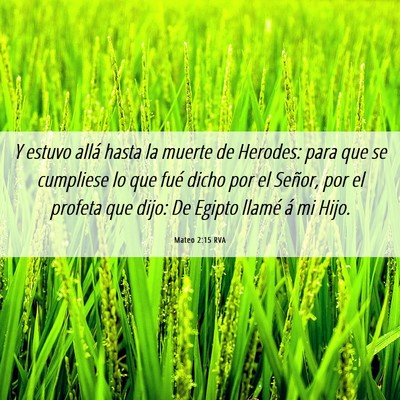 Picture 06 - Mateo 2:15 RVA - Y estuvo allá hasta la muerte de Herodes: para - Bible Verse Picture