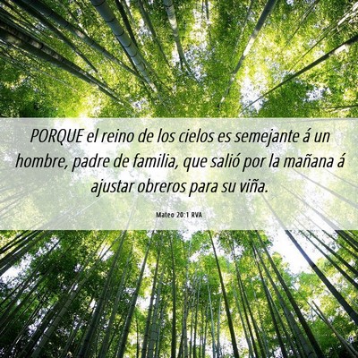 Picture 06 - Mateo 20:1 RVA - PORQUE el reino de los cielos es semejante á un - Bible Verse Picture