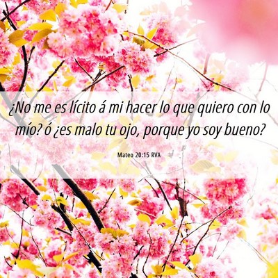 Picture 06 - Mateo 20:15 RVA - ¿No me es lícito á mi hacer lo que quiero con - Bible Verse Picture