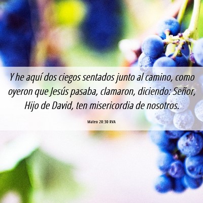 Picture 06 - Mateo 20:30 RVA - Y he aquí dos ciegos sentados junto al camino, - Bible Verse Picture