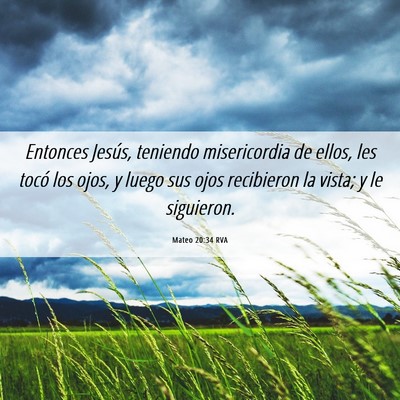 Picture 06 - Mateo 20:34 RVA - Entonces Jesús, teniendo misericordia de ellos, - Bible Verse Picture