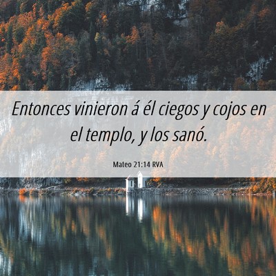 Picture 06 - Mateo 21:14 RVA - Entonces vinieron á él ciegos y cojos en el - Bible Verse Picture