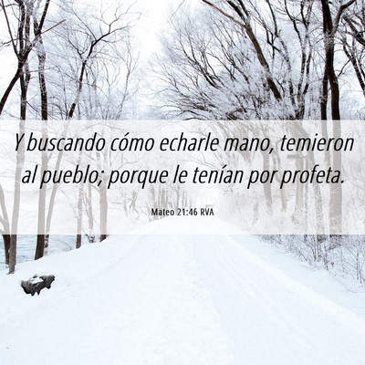 Picture 06 - Mateo 21:46 RVA - Y buscando cómo echarle mano, temieron al - Bible Verse Picture