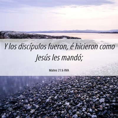 Picture 06 - Mateo 21:6 RVA - Y los discípulos fueron, é hicieron como Jesús - Bible Verse Picture