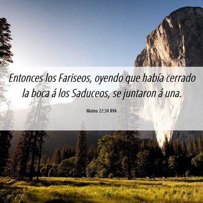 Picture 06 - Mateo 22:34 RVA - Entonces los Fariseos, oyendo que había cerrado - Bible Verse Picture