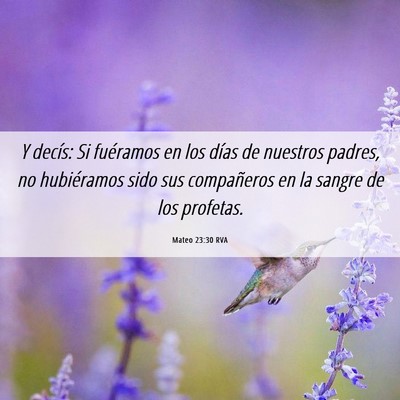 Picture 06 - Mateo 23:30 RVA - Y decís: Si fuéramos en los días de nuestros - Bible Verse Picture