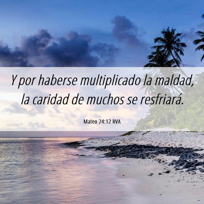 Picture 06 - Mateo 24:12 RVA - Y por haberse multiplicado la maldad, la caridad - Bible Verse Picture