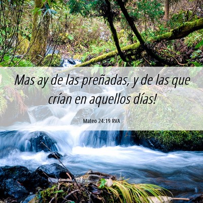 Picture 06 - Mateo 24:19 RVA - Mas ­ay de las preñadas, y de las que crían en - Bible Verse Picture