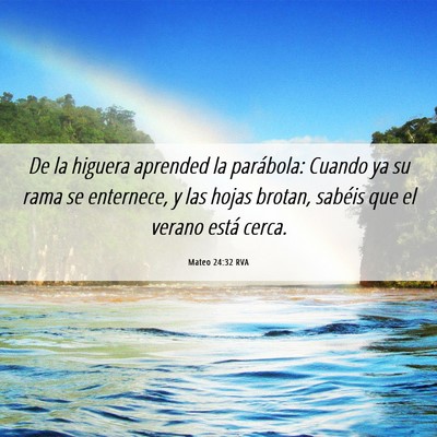 Picture 06 - Mateo 24:32 RVA - De la higuera aprended la parábola: Cuando ya su - Bible Verse Picture