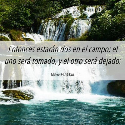 Picture 06 - Mateo 24:40 RVA - Entonces estarán dos en el campo; el uno será - Bible Verse Picture