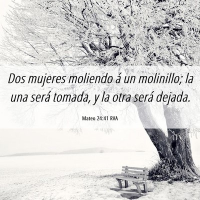 Picture 06 - Mateo 24:41 RVA - Dos mujeres moliendo á un molinillo; la una - Bible Verse Picture