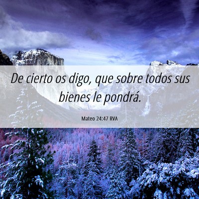 Picture 06 - Mateo 24:47 RVA - De cierto os digo, que sobre todos sus bienes le - Bible Verse Picture