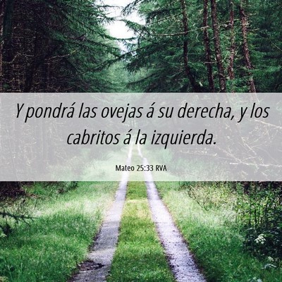 Picture 06 - Mateo 25:33 RVA - Y pondrá las ovejas á su derecha, y los - Bible Verse Picture