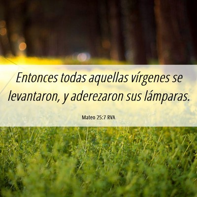Picture 06 - Mateo 25:7 RVA - Entonces todas aquellas vírgenes se levantaron, - Bible Verse Picture