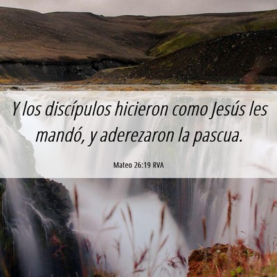 Picture 06 - Mateo 26:19 RVA - Y los discípulos hicieron como Jesús les - Bible Verse Picture