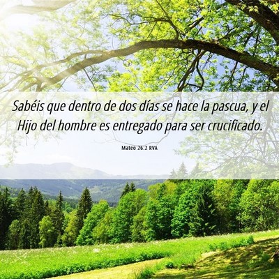 Picture 06 - Mateo 26:2 RVA - Sabéis que dentro de dos días se hace la - Bible Verse Picture