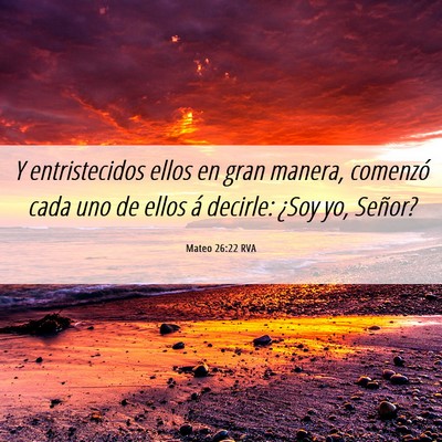 Picture 06 - Mateo 26:22 RVA - Y entristecidos ellos en gran manera, comenzó - Bible Verse Picture