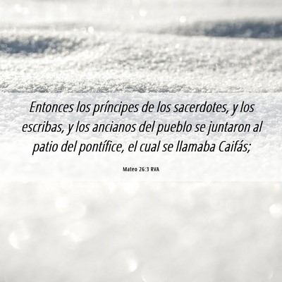 Picture 06 - Mateo 26:3 RVA - Entonces los príncipes de los sacerdotes, y los - Bible Verse Picture