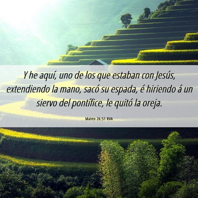 Picture 06 - Mateo 26:51 RVA - Y he aquí, uno de los que estaban con Jesús, - Bible Verse Picture