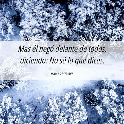 Picture 06 - Mateo 26:70 RVA - Mas él negó delante de todos, diciendo: No sé - Bible Verse Picture
