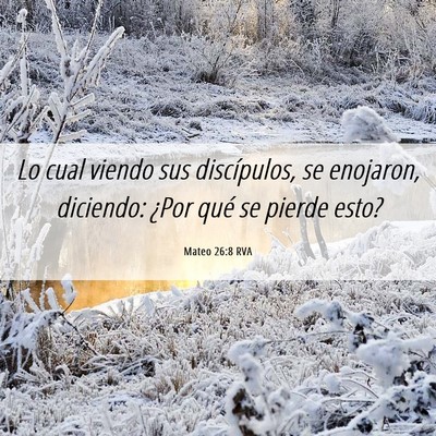 Picture 06 - Mateo 26:8 RVA - Lo cual viendo sus discípulos, se enojaron, - Bible Verse Picture