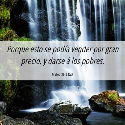 Picture 06 - Mateo 26:9 RVA - Porque esto se podía vender por gran precio, y - Bible Verse Picture