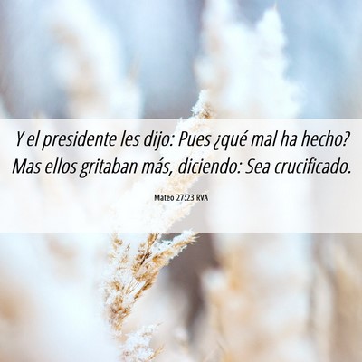 Picture 06 - Mateo 27:23 RVA - Y el presidente les dijo: Pues ¿qué mal ha - Bible Verse Picture