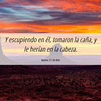 Picture 06 - Mateo 27:30 RVA - Y escupiendo en él, tomaron la caña, y le - Bible Verse Picture