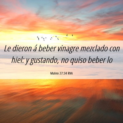 Picture 06 - Mateo 27:34 RVA - Le dieron á beber vinagre mezclado con hiel: y - Bible Verse Picture
