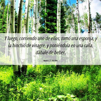 Picture 06 - Mateo 27:48 RVA - Y luego, corriendo uno de ellos, tomó una - Bible Verse Picture