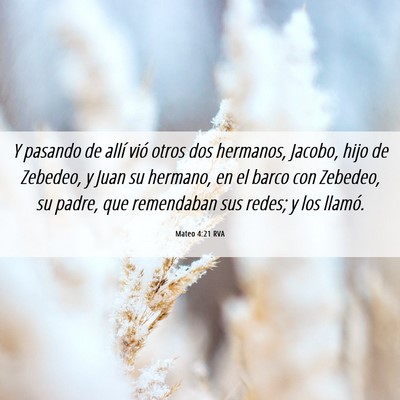 Picture 06 - Mateo 4:21 RVA - Y pasando de allí vió otros dos hermanos, - Bible Verse Picture