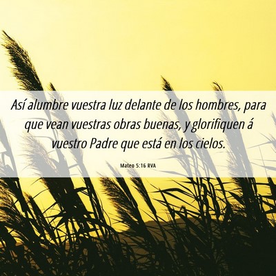 Picture 06 - Mateo 5:16 RVA - Así alumbre vuestra luz delante de los hombres, - Bible Verse Picture