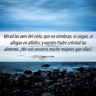Picture 06 - Mateo 6:26 RVA - Mirad las aves del cielo, que no siembran, ni - Bible Verse Picture