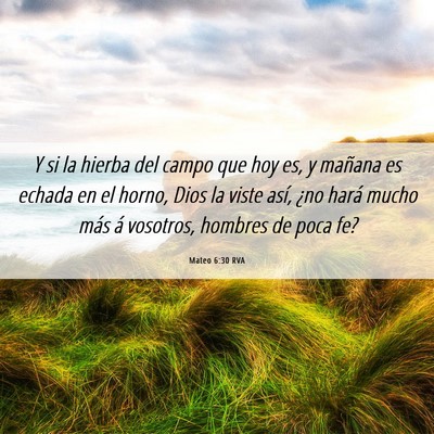 Picture 06 - Mateo 6:30 RVA - Y si la hierba del campo que hoy es, y mañana es - Bible Verse Picture