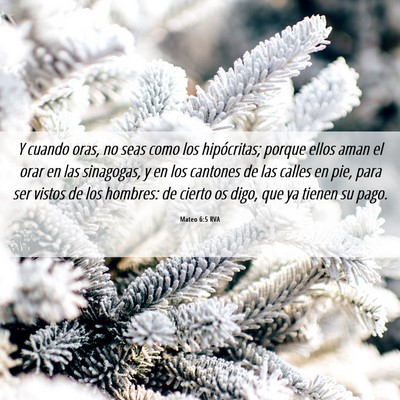 Picture 06 - Mateo 6:5 RVA - Y cuando oras, no seas como los hipócritas; - Bible Verse Picture