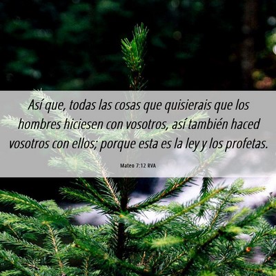 Picture 06 - Mateo 7:12 RVA - Así que, todas las cosas que quisierais que los - Bible Verse Picture
