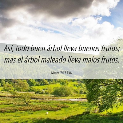 Picture 06 - Mateo 7:17 RVA - Así, todo buen árbol lleva buenos frutos; mas - Bible Verse Picture