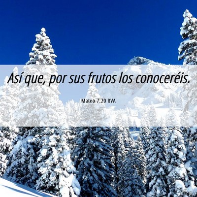 Picture 06 - Mateo 7:20 RVA - Así que, por sus frutos los - Bible Verse Picture